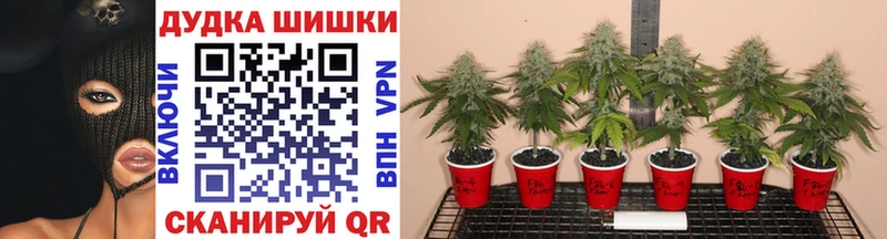 ссылка на мегу ТОР  Исилькуль  darknet как зайти  Канабис марихуана 